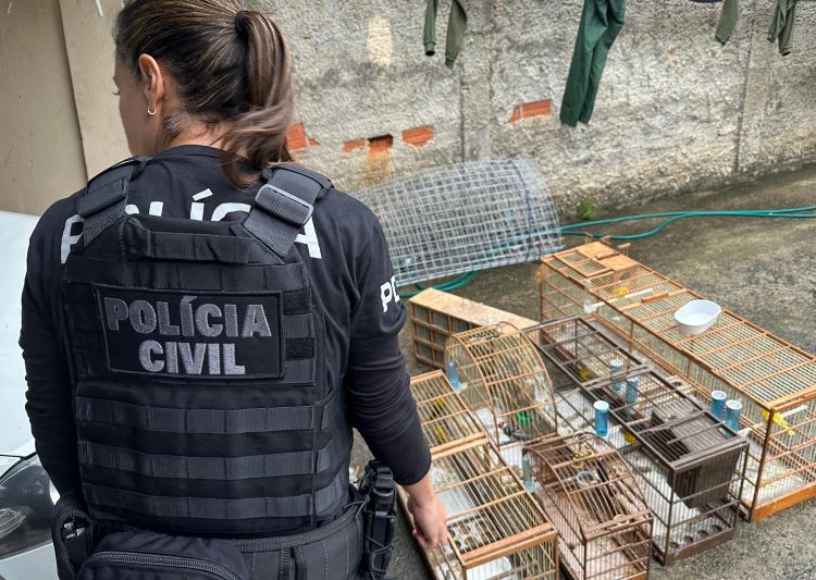 PCPR deflagra operação contra organização ligada ao tráfico de animais silvestres em todo país
Foto: PCPR