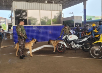 Fiscalização na Ponte da Amizade. Foto ilustrativa: divulgação