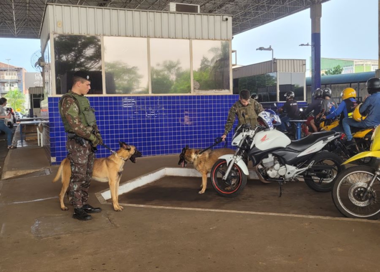 Fiscalização na Ponte da Amizade. Foto ilustrativa: divulgação