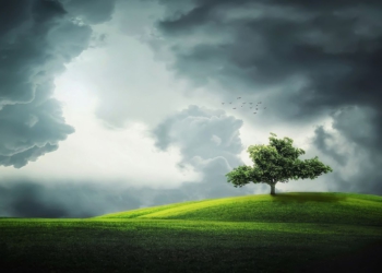 Foto ilustrativa: Pixabay