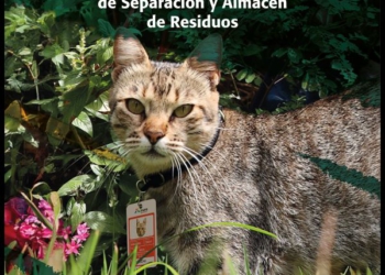 Micha, a mascote da Itaipu do Paraguai. Foto: divulgação
