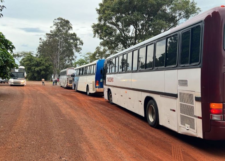 Ônibus apreendidos. Foto: RF/divulgação