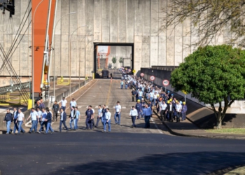 Foto Ilustrativa: IB/divulgação