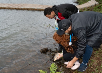 Os peixes foram soltos por empregados da usina e seus familiares. Foto: Sara Cheida/Itaipu Binacional