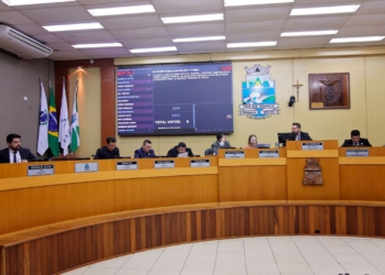 Votação do projeto que doa R$ 1 milhão às vítimas do ES. Foto: Christian Rizzi/ CMFI