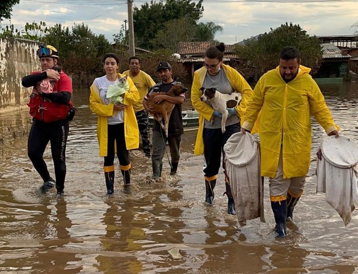 Vereadora participando de resgate de animais do RS. Foto: assessoria