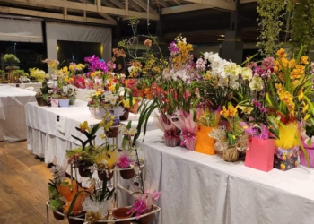 A feira é promovida pela Associação de Orquidófilos do Alto Paraná. Foto: IB/Paraguai