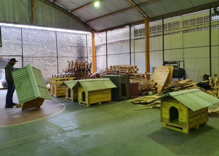 Casinhas feitas em penitenciária do Paraná vão ajudar a abrigar animais resgatados no RS
Foto: ONG Latido do Bem