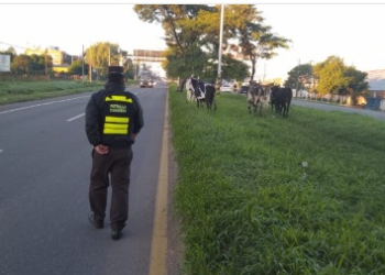 Foto: MOPC/divulgação