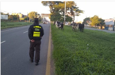 Foto: MOPC/divulgação