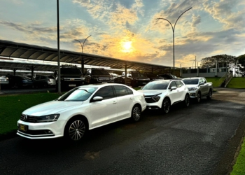 Veículos apreendidos durante a operação. Foto: divulgação/PF