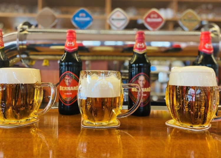 Foto ilustrativa: Pixabay