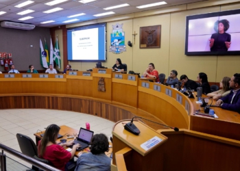 Audiência pública para debater o orçamento de 2025. Foto: Christian Rizzi