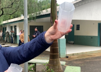 Paraná solta os primeiros mosquitos do “Método Wolbachia” na inauguração da biofábrica, em Foz do Iguaçu
Foto: SESA-PR