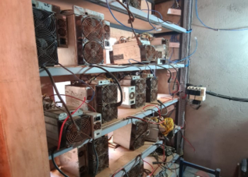 Material apreendido. Foto: ANDE/divulgação