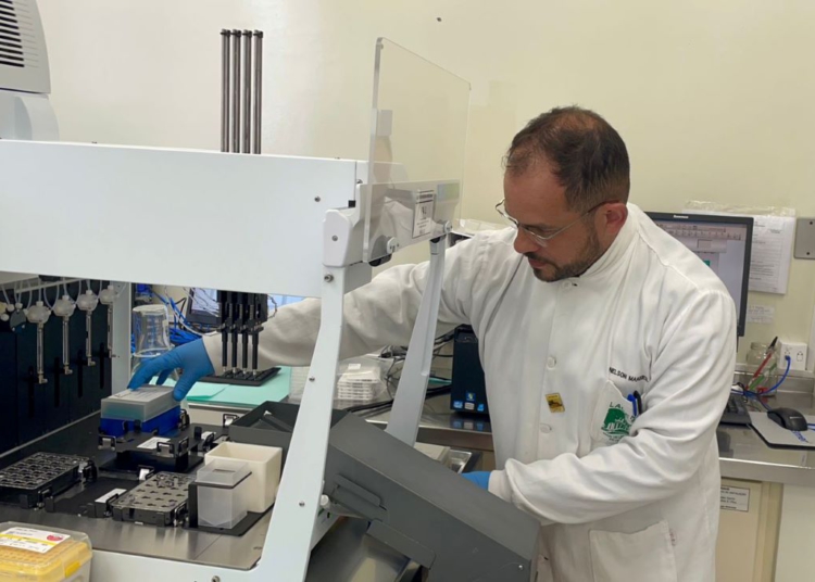 Secretaria da Saúde do Paraná monitora febre Oropouche e reforça análise laboratorial
Foto: Lacen/PR