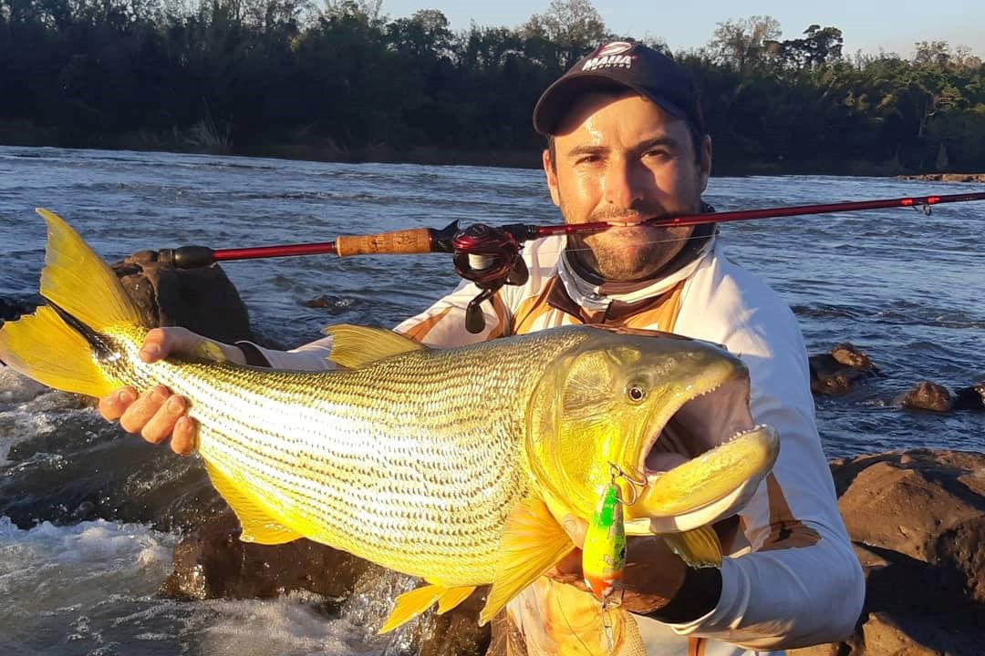 Foto ilustrativa: SEDEST-PR