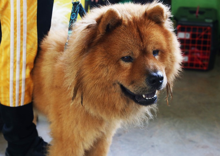 Foto ilustrativa: divulgação/PMFI