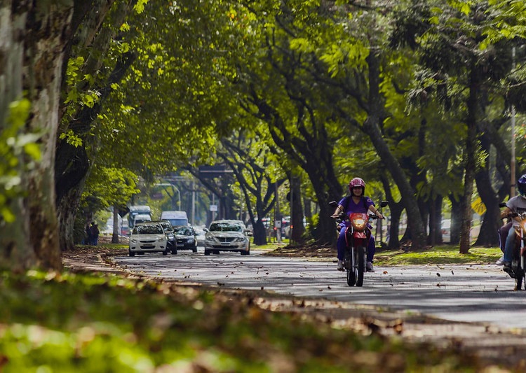 Avenida Paraná. Foto ilustrativa: PMFI