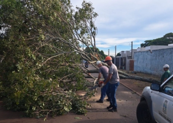 Estragos causados pelo temporal de ontem. Foto: PMFI
