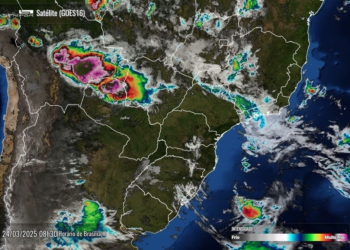 Foto de satélite divulgada nesta segunda-feira pelo Simepar.