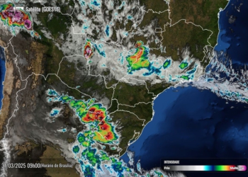 Foto de satélite divulgada na manhã desta segunda-feira pelo Simepar.