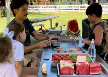 No feriado, sexta-feira, as crianças e os adultos poderão ajudar a equipe do Eco Park Foz a alimentar os macacos da Floresta dos Primatas. Foto: divulgação