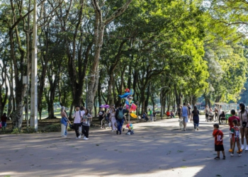 Foto ilustrativa: Roberto Dziura Jr/AEN