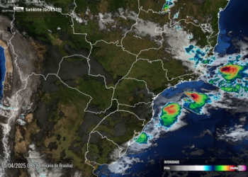 Céu sem nuvens sobre o Paraná, conforme mostra a foto de satélite da manhã de hoje, divulgada pelo Simepar