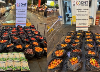 Apreensão de produtos brasileiros na aduana do Paraguai da Ponte da  Amizade. Foto: divulgaçao