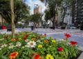 Foto: Daniel Castellano/Arquivo da Prefeitura de Curitiba