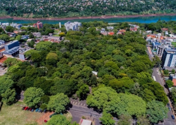Bosque Guarani está localizado no centro de Foz do Iguaçu. Foto ilustrativa: PMFI