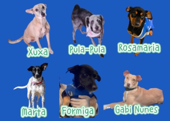 Entram em campo as estrelas: Xuxa, Pula-pula, Rosamaria, Marta, Formiga e Gabi Nunes. Ilustração: divulgação
