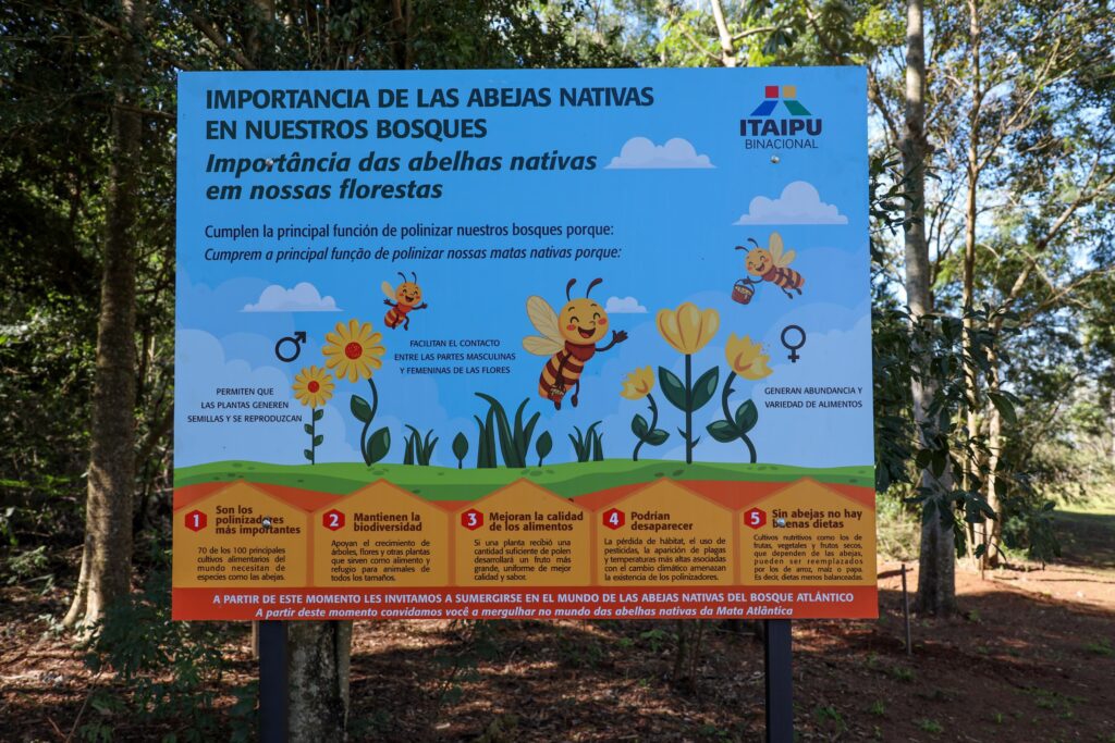 Com foco turístico e educacional, a nova atração tem como principal objetivo preservar e disseminar o conhecimento sobre as abelhas sem ferrão, nativas da Mata Atlântica do Alto Paraná (MAAP). Foto: IB/Paraguai