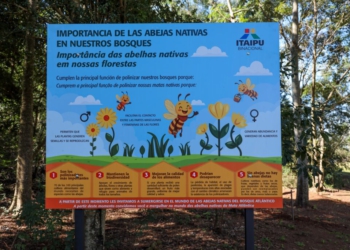 Com foco turístico e educacional, a nova atração tem como principal objetivo preservar e disseminar o conhecimento sobre as abelhas sem ferrão, nativas da Mata Atlântica do Alto Paraná (MAAP). Foto: IB/Paraguai