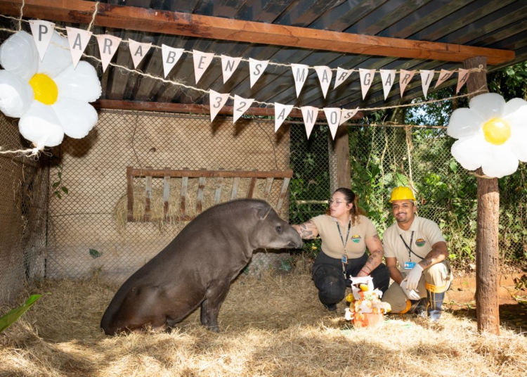Foto do aniversário: Rubens Faulini/IB