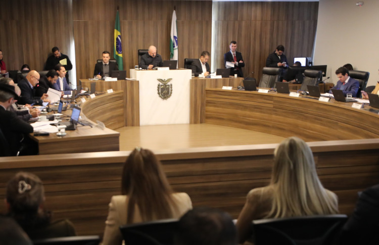 Reunião ocorreu no início da tarde desta terça-feira (12), no Auditório Legislativo. Foto: Valdir Amaral/Alep