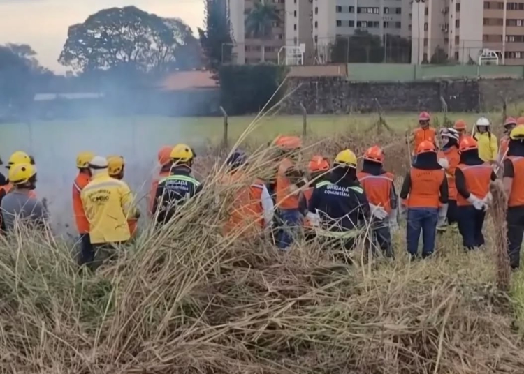 Foto do treinamento; divulgação/GM