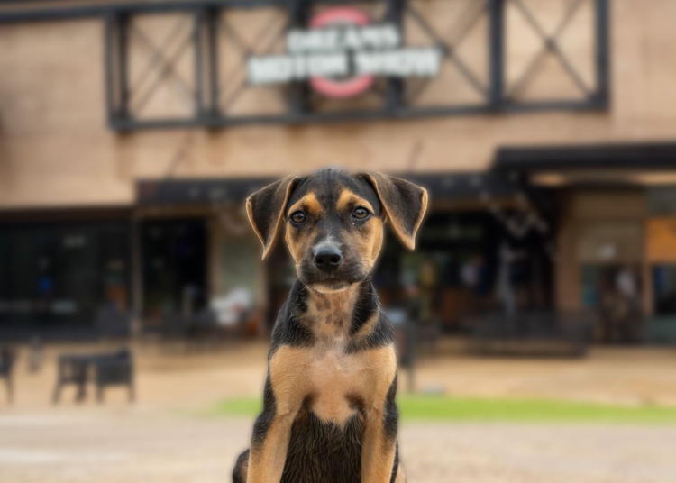 Foto ilustrativa: divulgação