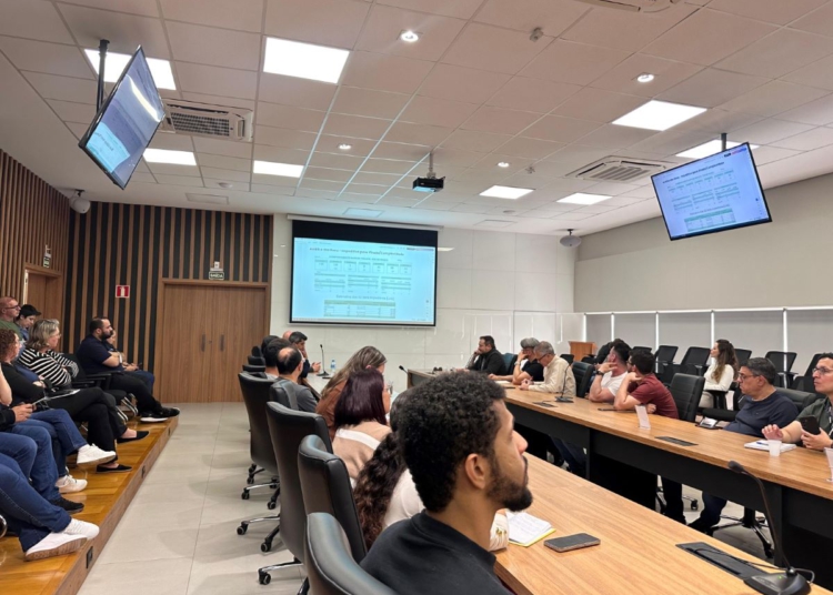 Todas as secretarias estão envolvidas no processo, iniciado em março deste ano. Foto: divulgação