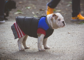 Foto ilustrativa: pixabay