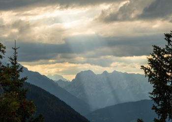 Foto ilustrativa: Simepar