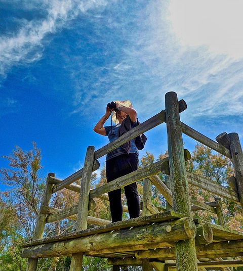 Foto ilustrativa: Pixabay