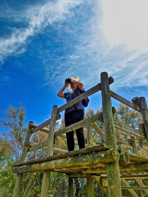 Foto ilustrativa: Pixabay