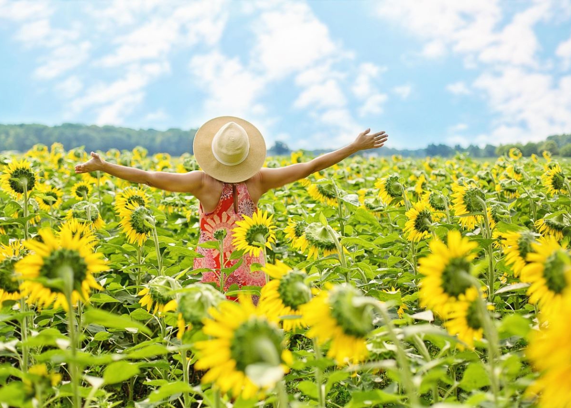 Foto ilustrativa: Pixabay