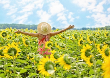 Foto ilustrativa: Pixabay