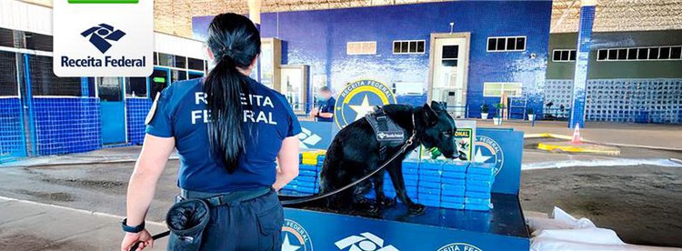 Parabéns, Echoes! Foto: divulgação/RF