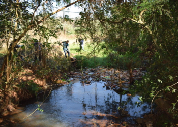 Foto ilustrativa: PMFI