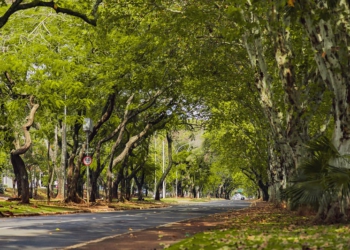 Avenida Paraná. Foto: PMFI