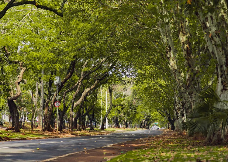 Avenida Paraná. Foto: PMFI